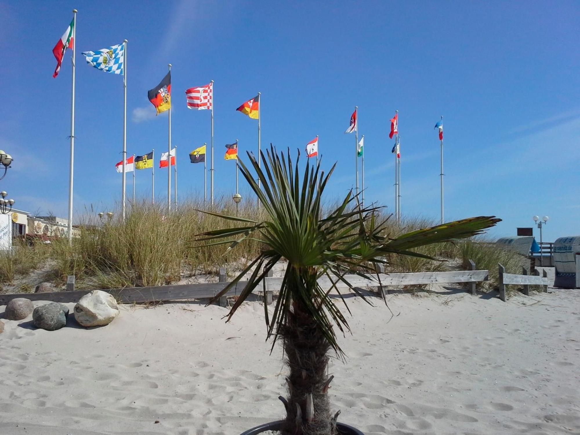 Haus Baltic - Whg 23 - Neu Inkl Saisonstrandkorb! Groemitz Ngoại thất bức ảnh
